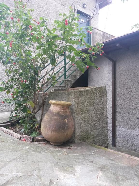 Agriturismo Olivarancio Leivi エクステリア 写真