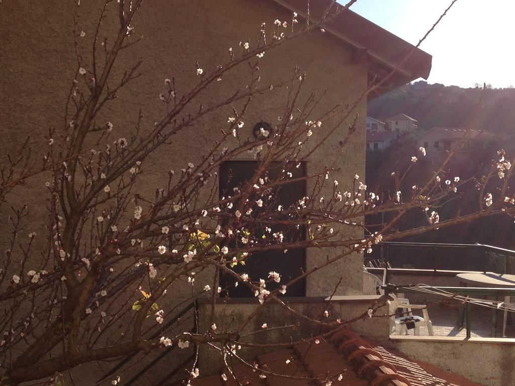 Agriturismo Olivarancio Leivi エクステリア 写真