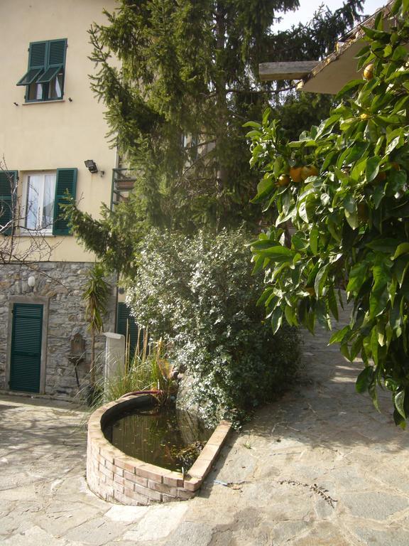 Agriturismo Olivarancio Leivi エクステリア 写真