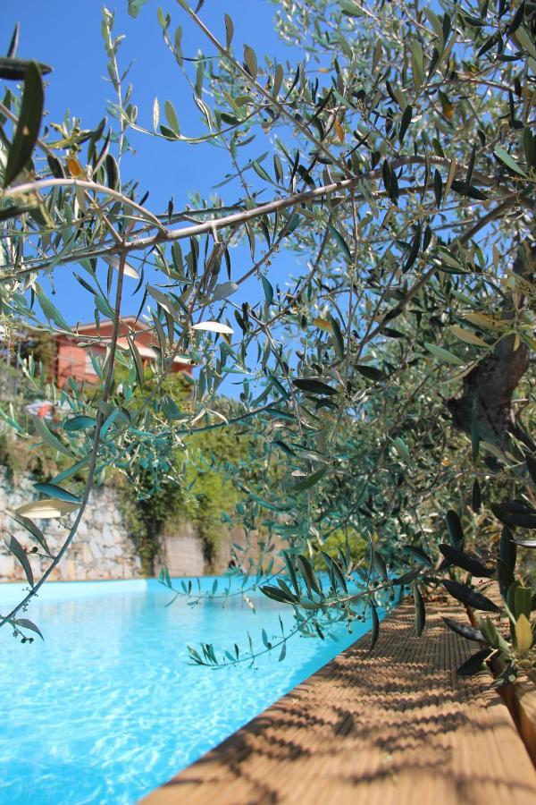 Agriturismo Olivarancio Leivi エクステリア 写真
